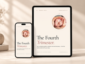 The Fourth Trimester: Newborn Care & Postpartum Recovery Guide